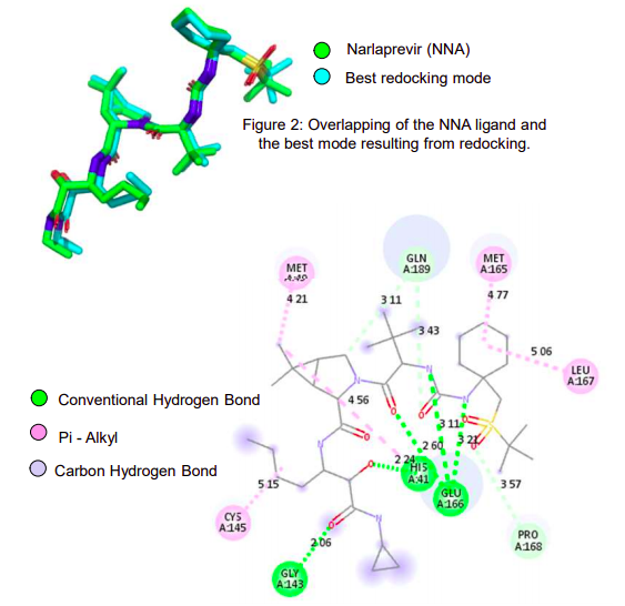 IN-SILICO ANALYSIS OF THE STRUCTURE AND BINDING SITE FEATURES OF THE 3CL PROTEASE FROM SARS-COV-2: PARAMETERIZATION FOR VIRTUAL SCREENING PROTOCOLS