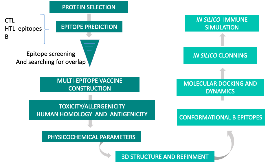 In silico approaches for Mycoplasma pneumoniae multi-epitope vaccine construction